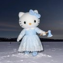 주식회사 로얄네트몰 | 포켓몬 레전즈 제트에이 : 04 - 5색 플라베베 위치, ZA로열 F랭크 달성