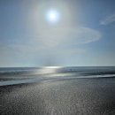 육지와바다 이미지