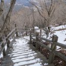 석남농장 이미지