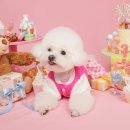 해피몽스데이 이미지