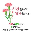 자자 이미지