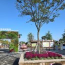 수직의 정원 | 가을 산책 겸 ‘힐링 타임’으로 제격! 10월 19일 제13회 경기정원문화박람회 다녀온 리얼 후기