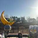 새솔어린이집 | 새솔동맛집 "새솔동삼겹살 제대로 찾았다." 할매솥뚜껑삼겹살 새솔점 후기