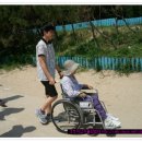 모두체험학습 Daum카페