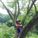 매네미 민박 이미지