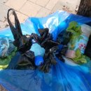 공공용 100 이미지