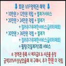 헤어바이손