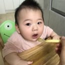 [베이미맘마]아기가 잘먹는 간편조리이유식 베이미 후기