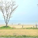 태안 오션뷰 펜션 추천 해루질 펜션 하늘과바다사이리조트 3단지 후기