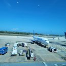 칸쿤공항 면세점 데낄라가격 칸쿤-샌프란시스코 경유-인천 유나이티드-아시아나 환승 상세후기