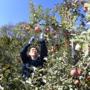 거창-거창-8 이미지