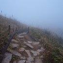 기체육공원 이미지