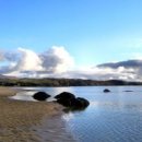 푸른자연 이미지