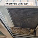 수원 비둘기퇴치 후기 / 인계동 래미안 노블클래스 아파트