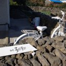 제주폴리폴리 이미지