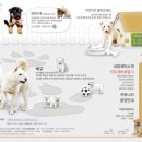 진도개영농조합 이미지