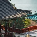 복천사 - 영도구 | 복천사