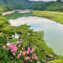 4/29(수)천상의화원 수생식물원,물위의떠있는 부소담악,유채꽃전국최대,정지용생가,육영수여사생가 이미지