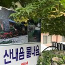 물내음 팬션 | 8월 : 여름 청춘미 가득 넘치는 곳(청도계곡, 산내음물내음펜션)