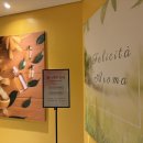 호텔 펠리체 | 히든클리프 호텔 마사지 펠리체 아로마 내돈내산 임산부 마사지 후기 태교여행 코스추천