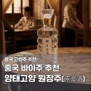 한국발효(주) | 중국 칭다오 쇼핑 리스트 추천 연태고량주 원장주 시음 후기