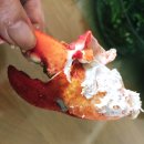 비제이팜 이미지