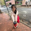 새동네2길 정자 | 선데렐라 단독 내한 후기