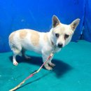 두량5리 이미지