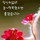 장수쌈밥 이미지