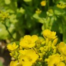 백천농장 이미지