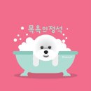 목욕의 정석 이미지