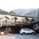 청풍황금송어 이미지