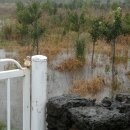 신풍농장 이미지