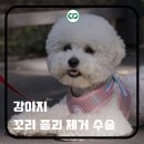 어울동물의료센터 이미지