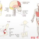 덕윤한의원 이미지