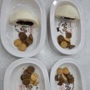 JM태권도 번지센터 | [ 도화동태권도 / 유아체육 / 학교체육 ] JM태권도장 유치부수업