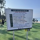 크로스핏터 | 강릉 사근진 오션짐 크로스핏터 리뷰