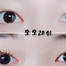 모모속눈썹 이미지