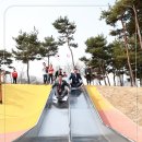 우전초교병설유치원 이미지