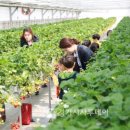 혜일농장 이미지