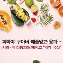 전통과일 이미지