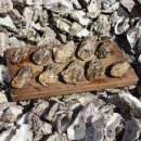 통영바다정원 이미지