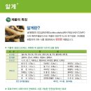 한농원 네이버블로그
