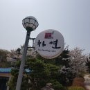 티차연