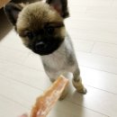 예삐네 착한 수제간식 이미지