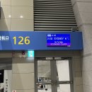 시드니여행 1/2일차:: 젯스타, 시드니공항ATM, 시드니유심, 미세스맥콰리포인트, 주립미술관, 더들리...