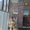 이상아 카카오 검색결과