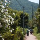 다남로165번길 이미지