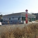 진짜순대 이미지