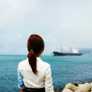 영도행정사 이미지